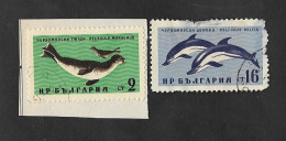 SE)1961 BULGARIA, BLACK SEA WILDLIFE, MEDITERRANEAN MONK SEAL & DOLPHINS, USED - Usados