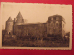 Carte Postale. Vendée 85. Pouzauges. Château Des Echardières - Pouzauges