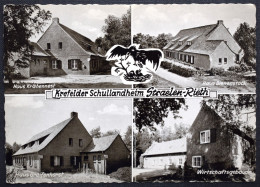 Alemania  Germany   Krefelder Schullandheim  Campamento Escolar - Straelen