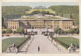 POSTCARD 2996,Austria,Vienna - Palacio De Schönbrunn