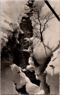 26-1-2024 (2 X 21) France (old - Posted 1954 Without Postage Stamps) MEDICAL - Winter Scenery River Under Snow & Trees - Alberi