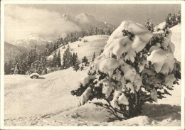 41522317 Kreuzberg Niederbayern Wetterstein Winterlandschaft Freyung - Freyung