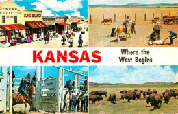 72705301 Dodge_City Where The West Begins Front Street Branding Calves Cattle Ra - Other & Unclassified