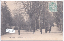 CHALONS-SUR-MARNE- UNE ALLEE DU JARD - Châlons-sur-Marne