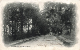 ROYAUME-UNI - Angleterre - Kenilworth Road - Long Avenue - Carte Postale Ancienne - Warwick