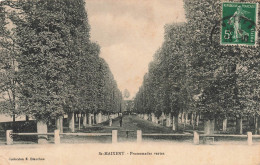 FRANCE - St Maxient - Promenades Vertes - Arbres  - Carte Postale Ancienne - Sonstige & Ohne Zuordnung