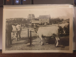 10. Herbignac (L.-Inf) - Le Champ De Foire - Herbignac