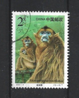 China 2000 Monkeys Y.T. 3778 (0) - Used Stamps