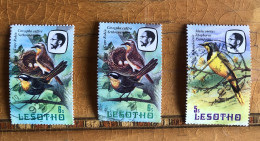 Lesotho 1981 3 X Birds Fine Used - Lesotho (1966-...)