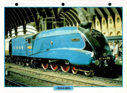 Train : Locomotive Mallard - Railway