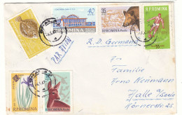 Roumanie - Lettre De 1962 - Oblit Braila - Football - Poissons - Gibier - Fleurs - Sanglier - - Covers & Documents