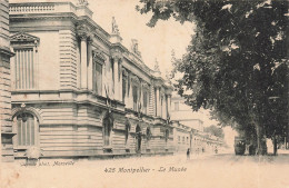 FRANCE - Montpellier - Le Musée - Carte Postale Ancienne - Montpellier