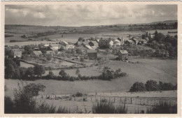 Erezée - Panorama - Erezée