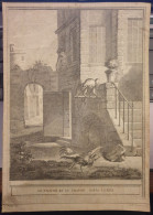 Gravure - Fable De La Fontaine - Le Faucon Et Le Chapon - Fable CLXIII - Dessinée Par J-B Oudry, Sculptée Par PF Tardieu - Prenten & Gravure