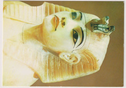 AK 198275 EGYPT -  Cairo - The Egyptian Museum - Tutankhamen's Treasures - Stopper From Canopic Chest - Museums