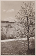 Frühling Am Zugersee, ° FÜSELIER KP II/104 Feldpost, 3.März 1943 - Lac De Zoug