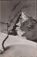 Mürren Winterlandschaft Mit Eiger, ° MIL.SAN.ANSTALT Interlaken Feldpost, M.S.A .Interlaken II. Sektion Augenabteilung - Mürren