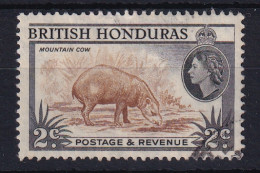 British Honduras: 1953/62   QE II - Pictorial   SG180    2c  [Perf: 13½]   Used - Honduras Britannico (...-1970)