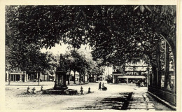 FRANCE -  Chalon Sur Saône - Place De Beaume - Carte Postale Ancienne - Chalon Sur Saone