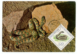 MAX 39 - 1108 SNAKE, Romania - Maxicard - 1968 - Snakes