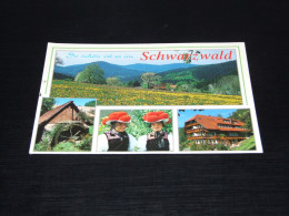 68695-               SCHWARZWALD - Other & Unclassified