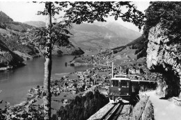 LUNGERN ► Brünigbahn Oberhalb Lungern Gegen Den Brünig Fahrend Ca.1955 - Lungern