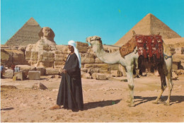 Giza - The Sphinx And The Pyramids - Egito - Formato Grande Non Viaggiata – FE390 - Gizeh