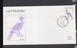 BIRDS - SURINAM -  1979 -   5 GLD AIR / BLACK CORRSOW  ON  ILLUSTRATED FDC - Kranichvögel