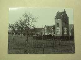 50167 - AALTER - BELLEM - HOEVE SPILDOORN MET DUIVENTOREN - ZIE 2 FOTO'S - Aalter