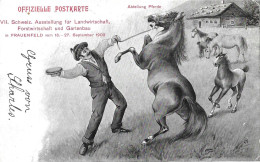 FRAUENFELD ► Offiz. Postkarte VII. Schweiz. Ausstellung Für Landwirtschaft, Forstwirtschaft Und Gartenbau 1903   ►RAR◄ - Frauenfeld
