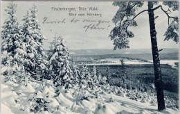 Finsterbergen , Thüringer Wald (Schneelandschaft) (Stempel: Finsterbergen, 1910) - Autres & Non Classés