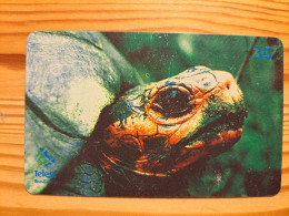 Phonecard Brazil, Telesc - Turtle - Brasilien