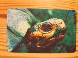 Phonecard Brazil, Telesc - Turtle - Brasile