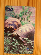 Phonecard Brazil, Telemar - Turtle - Brasile