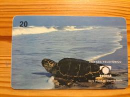 Phonecard Brazil, Telest - Turtle - Brasilien