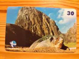 Phonecard Brazil, Telemar - Turtle - Brazil