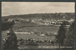 Carte P ( Saignelégier / Marché-Concours ) - Saignelégier