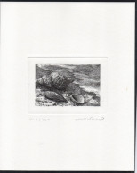 Piotr Naszarkowski. Sweden 1991. Shells. Steel Engraving. LIMITED EDITION! Signed. - Probe- Und Nachdrucke