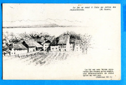 NY1116, Petit Cortaillod, 4, H. G. Gruffel, Circulée 1923 - Cortaillod