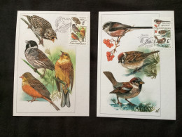 2020 : 2 Cartes Maximum Les Oiseaux Chanteurs  : Bruant Ortolan Passereau Mésange - FDC