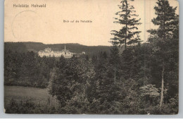 0-8355 NEUSTADT, Heilstätte Hohwald, 1918, Verlag Ruprecht - Dresden - Neustadt