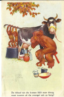 Humorkarte Affen Melken Eine Kuh, Holländisch, Gelaufen 1955 - Singes
