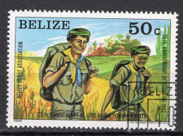 BELIZE - Timbre N°591 Oblitéré - Belize (1973-...)