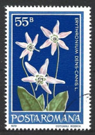 Romania 1979. Scott #2824 (U) Flowers, Dog's-tooth Violet - Oblitérés