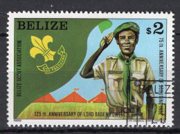 BELIZE - Timbre N°593 Oblitéré - Belize (1973-...)