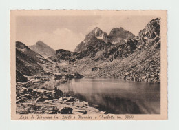 CRISSOLO (CN):   UN  SALUTO  DA ... -  LAGO  DI  FIORENZA  -  MONVISO  E  VISOLOTTO  -  FG - Torres De Agua