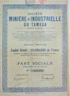 S.A. Soc. Minière & Industrielle Du Tamega - Part Sociale - Mines