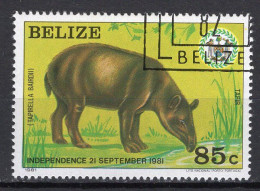 BELIZE - Timbre N°563 Oblitéré - Belize (1973-...)
