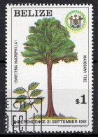 BELIZE - Timbre N°564 Oblitéré - Belize (1973-...)