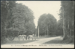 Blangy-sur-Bresle - Foret D'Eu - Le Poteau Saint Rémy - Etat Neuf! - Blangy-sur-Bresle